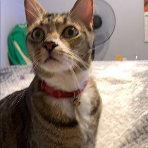 Meet your Posher, Beth